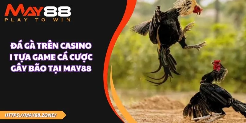 Đá gà trên casino | Tựa game cá cược gây bão tại MAY88