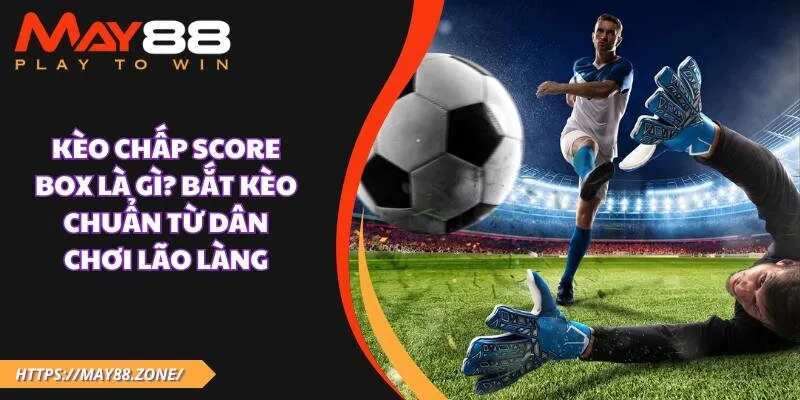 Kèo chấp score box là gì? Bắt kèo chuẩn từ dân chơi lão làng